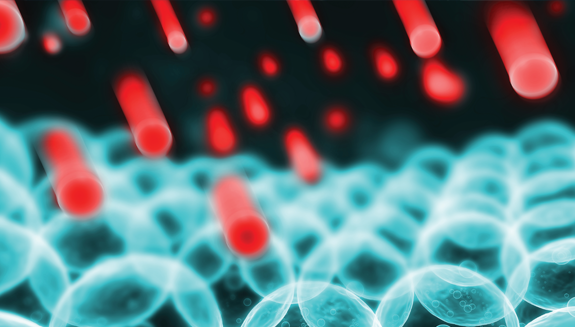 1663606600394 Monecule