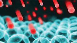 1663606600394 Monecule 1663606600394 Monecule