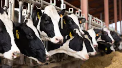 Animal food manufacturer fined $161K for exposing workers to airborne dust hazards Animal food manufacturer fined $161K for exposing workers to airborne dust hazards