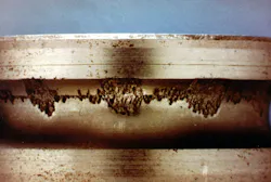 Figure 2. False brinelling caused by low-level vibration. Figure 2. False brinelling caused by low-level vibration.