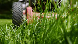 694ac4150a89ea126cb645eb Lawnmowerid 101777226mwiensdreamstime 694ac4150a89ea126cb645eb Lawnmowerid 101777226mwiensdreamstime