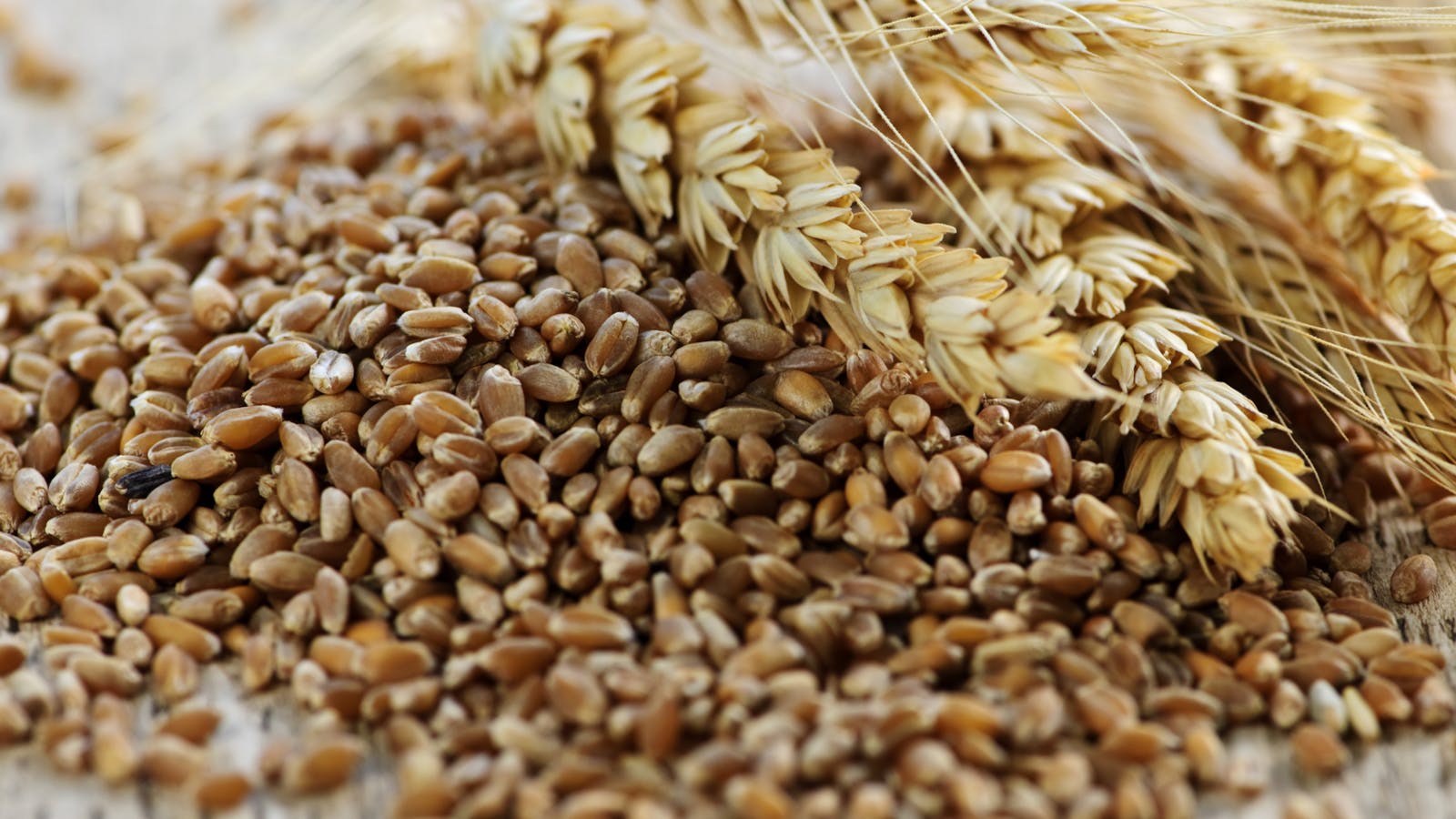 69739fb4ac344bddf1674efb Fibersid13620596elena Elissevadreamstime