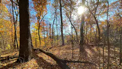 International Friendship Botanic Gardens in Pottawattamie Park, IN International Friendship Botanic Gardens in Pottawattamie Park, IN