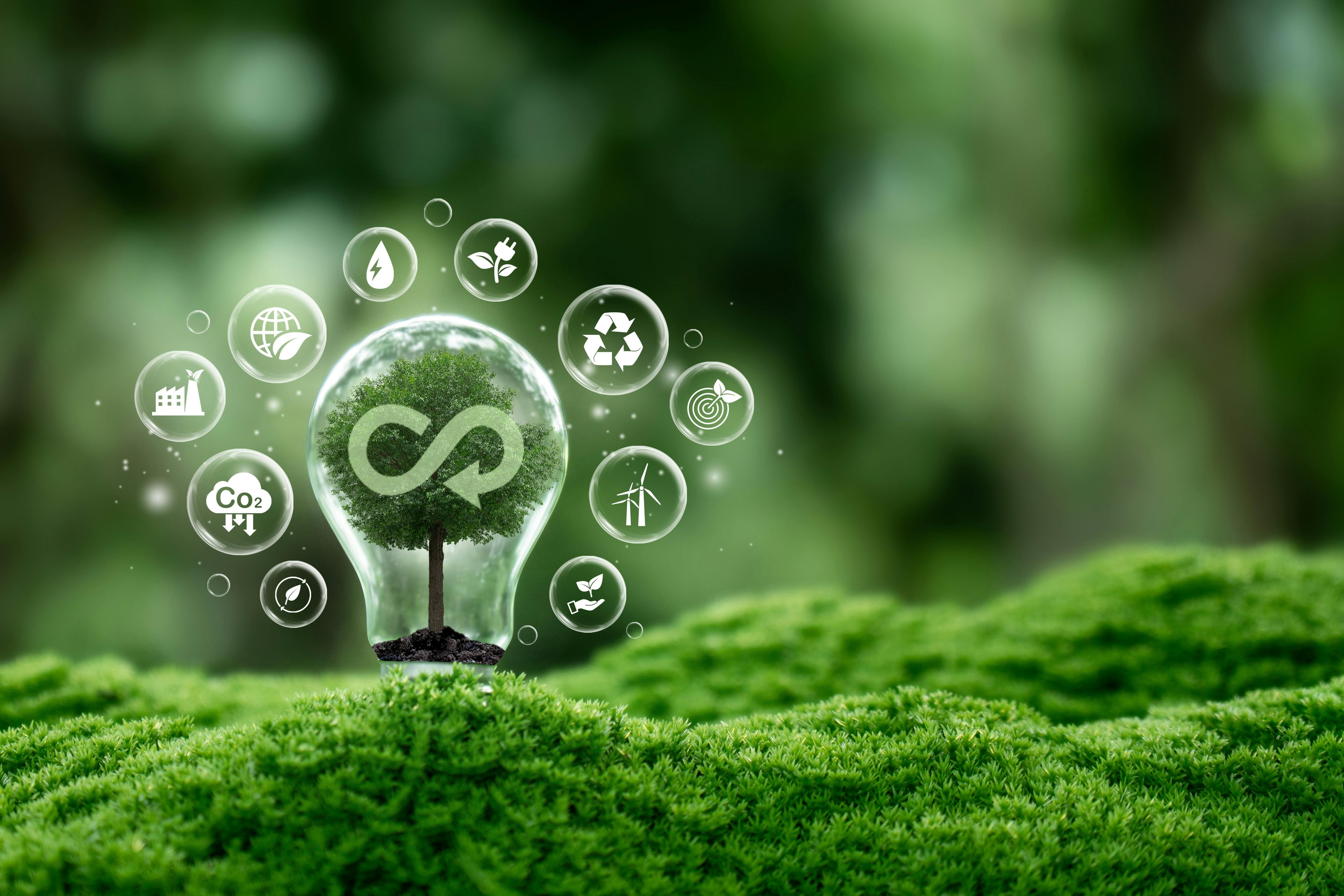 shutterstock_2627789509