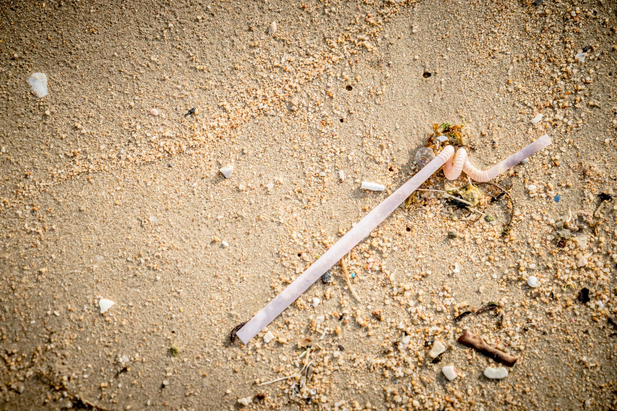 A discarded plastic straw on a beach.