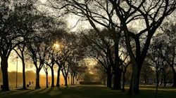 66fdb93f3cabd9ad19a68d66 Sunthroughtreesinwashingtondcamixedhumidclimate 66fdb93f3cabd9ad19a68d66 Sunthroughtreesinwashingtondcamixedhumidclimate