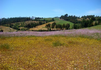 66fdb94301d3bf5b05af6b5d Land