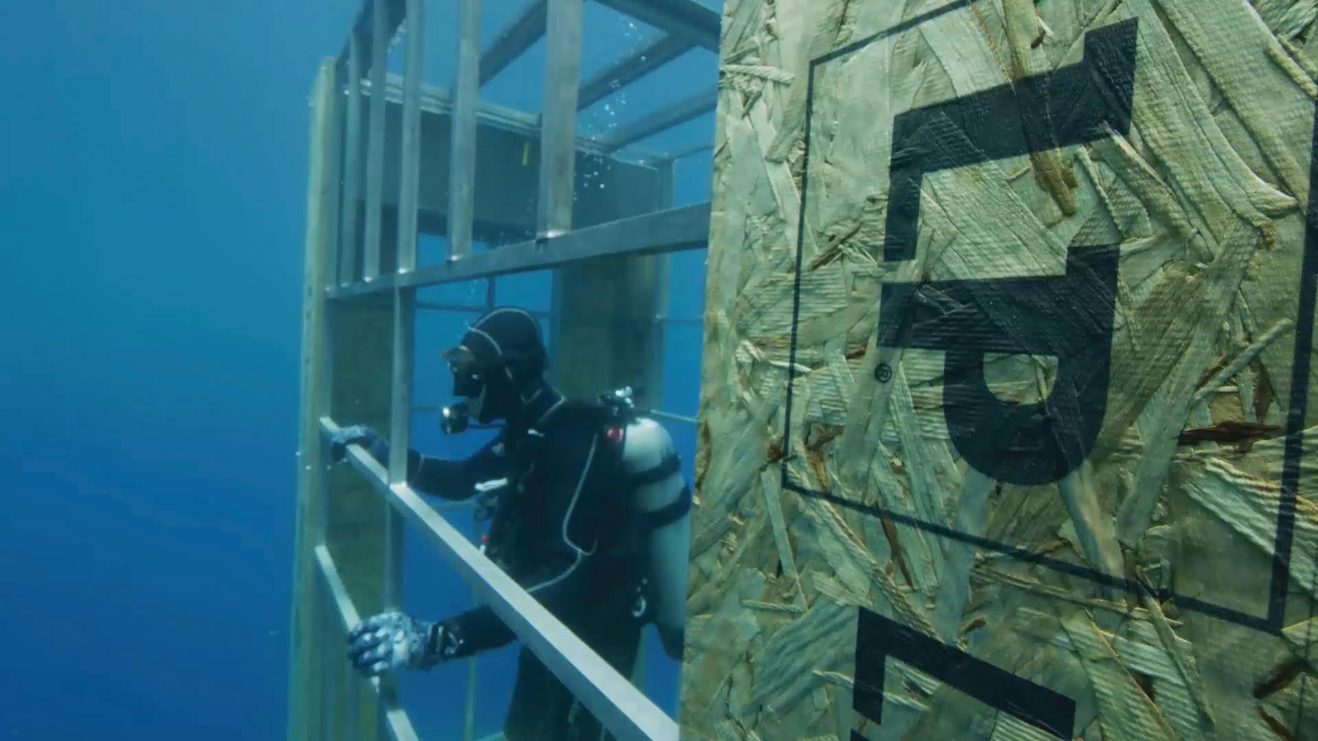 Some manufacturers will go to attention-grabbing lengths to assure users about the performance of their building products. This shark tank, with floors and corners constructed from LP's Legacy subflooring, is a perfect example.