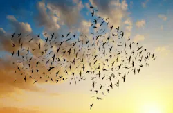 66fdba7ade5fd1ce9854800c Migration 0 66fdba7ade5fd1ce9854800c Migration 0