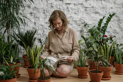 66fdbafa36c97e63d08b5641 Panasonic20iaq20survey 66fdbafa36c97e63d08b5641 Panasonic20iaq20survey