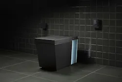 66fdbb2ba897b56a25b1f36f Kohlernumitoilet 66fdbb2ba897b56a25b1f36f Kohlernumitoilet