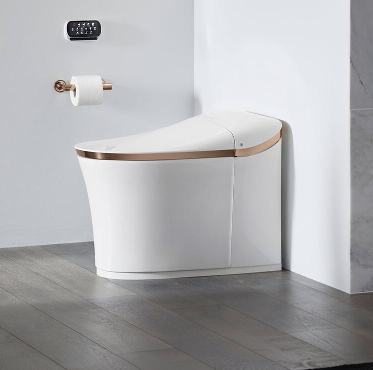 66fdbb68a897b535e8b1f3b9 Eirintelligenttoiletkohler