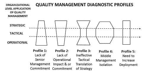 66fdbbd23cabd98a54a69192 Profiles