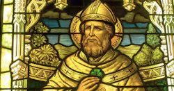 66fdbc3036c97e79ee8b58a4 Stpatrickstainedglasschicago 66fdbc3036c97e79ee8b58a4 Stpatrickstainedglasschicago