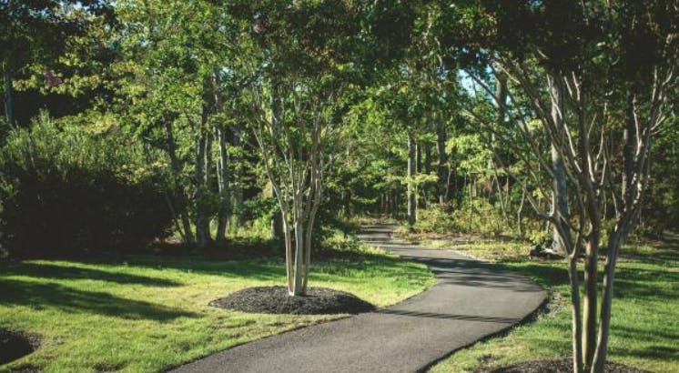 66fdbc3ae63fdc36e8457e4d Homebuyers20demand20green