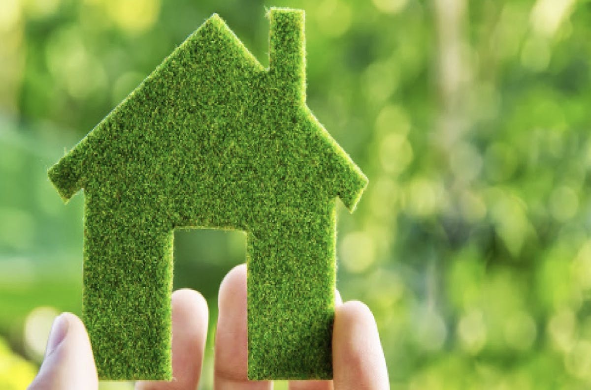 66fdbc79e63fdc47ee457ebc Handholdinggreenhomecutout 0