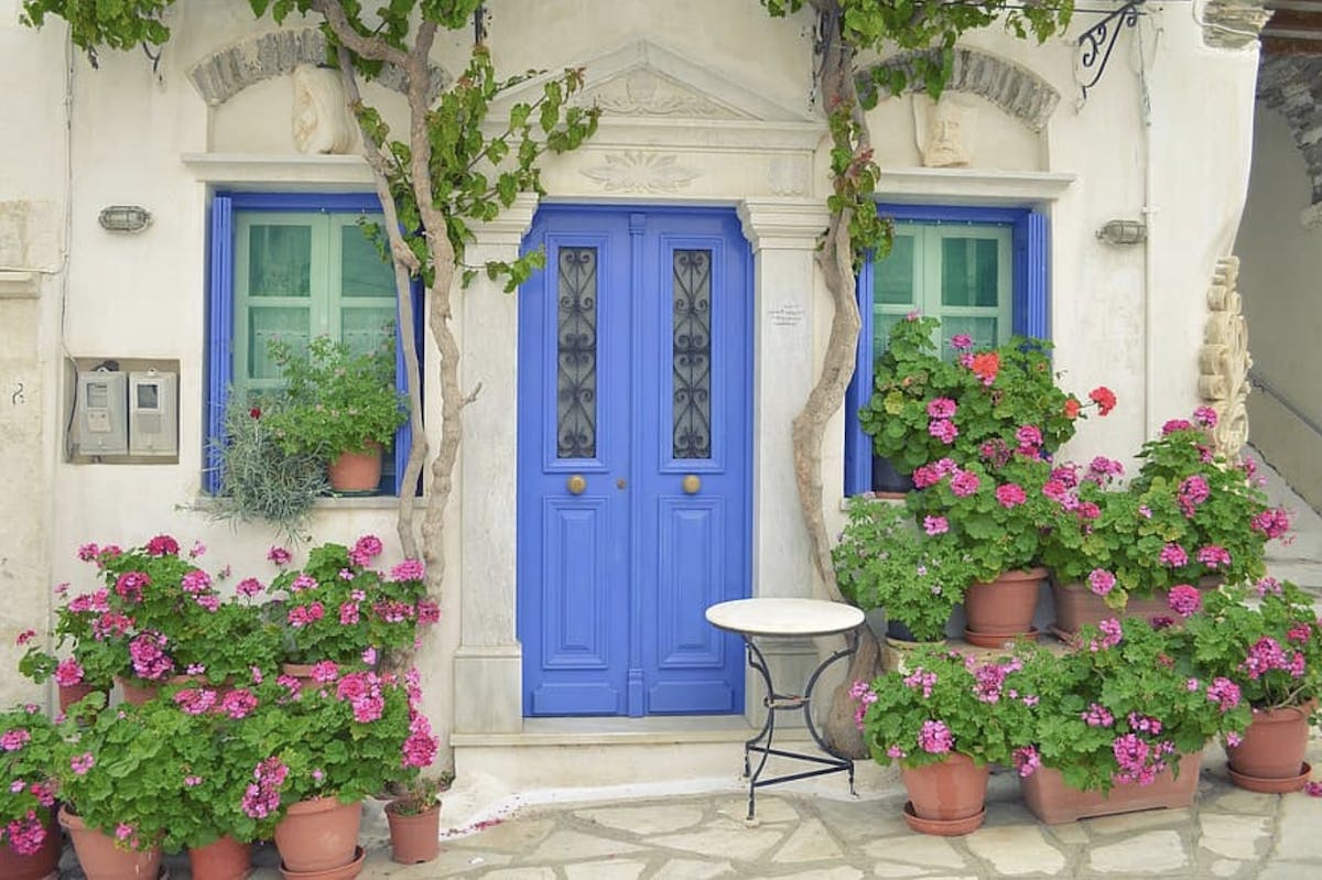 66fdbc7ee63fdc42b9457eca Curbappealpelargoniumsbrightcheeryhomeentry