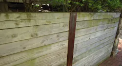 66fdbca0e63fdc7dab457f6b Pressuretreatedwoodmin 66fdbca0e63fdc7dab457f6b Pressuretreatedwoodmin