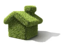 66fdbd6801d3bfb952af7555 Green 3 66fdbd6801d3bfb952af7555 Green 3