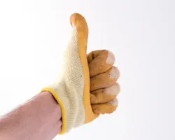 66fdbd76e1fd4a6398e1ec4b Thumbsup2 66fdbd76e1fd4a6398e1ec4b Thumbsup2