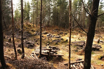 66fdbd9ba5dba062e1462187 1360582 86374572