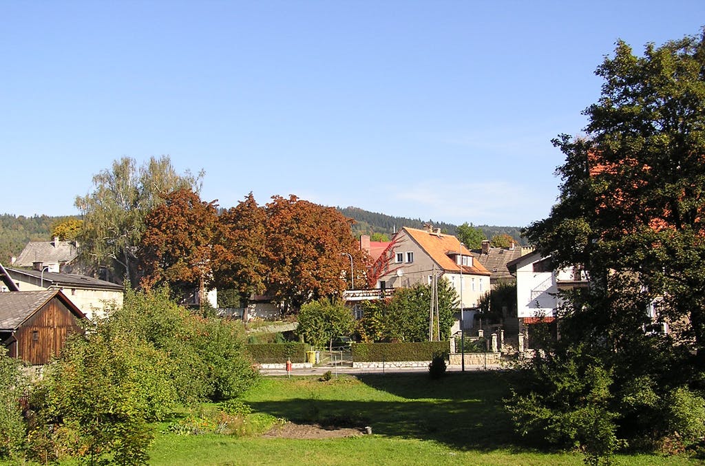 66fdbdb8de5fd1d0b654889c 1270543 21359237