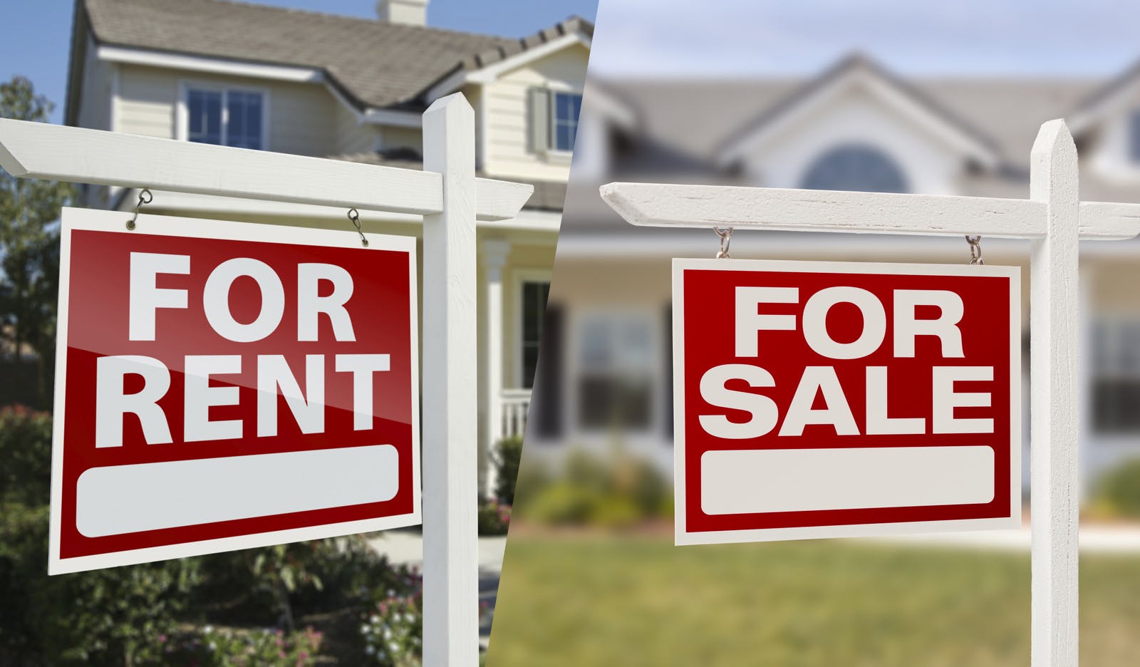 66fdbdc63cabd9f455a6987d Rentorbuy