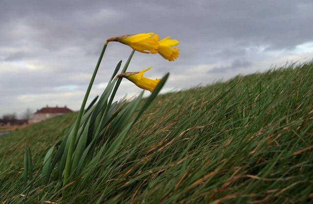 66fdbecf36c97e98678b6156 Blowing In The Wind Geograph