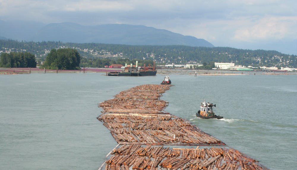 66fdbf9f3cabd969a1a69e01 Log Driving In Vancouver