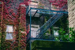 66fdc0dbdbd68e3fcc4aae10 Pexelsphoto668299 66fdc0dbdbd68e3fcc4aae10 Pexelsphoto668299