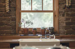 66fdc0f201d3bfe4ccaf7fa2 Garlic2556022 1920 66fdc0f201d3bfe4ccaf7fa2 Garlic2556022 1920