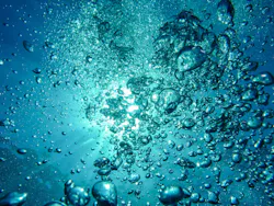 66fdc109d4ea387098a5a096 Airbubblesdivingunderwaterblow62307 66fdc109d4ea387098a5a096 Airbubblesdivingunderwaterblow62307