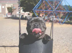 66fdc1bca897b59809b20583 Marionmichele66097unsplash 66fdc1bca897b59809b20583 Marionmichele66097unsplash