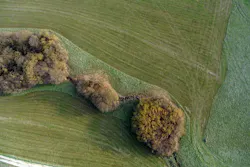 66fdc1cbdbd68e686d4aaf60 Kapjasa434865unsplash 66fdc1cbdbd68e686d4aaf60 Kapjasa434865unsplash