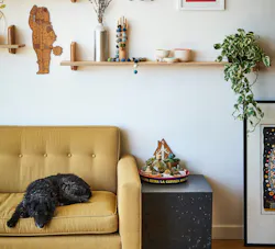 66fdc251e63fdccdf4458f2b Grovemade678706unsplash 66fdc251e63fdccdf4458f2b Grovemade678706unsplash