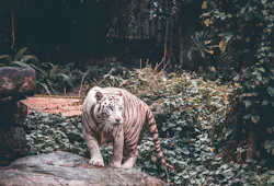 66fdc2e5e1fd4a655ae1f914 Waynechan404139unsplash 66fdc2e5e1fd4a655ae1f914 Waynechan404139unsplash