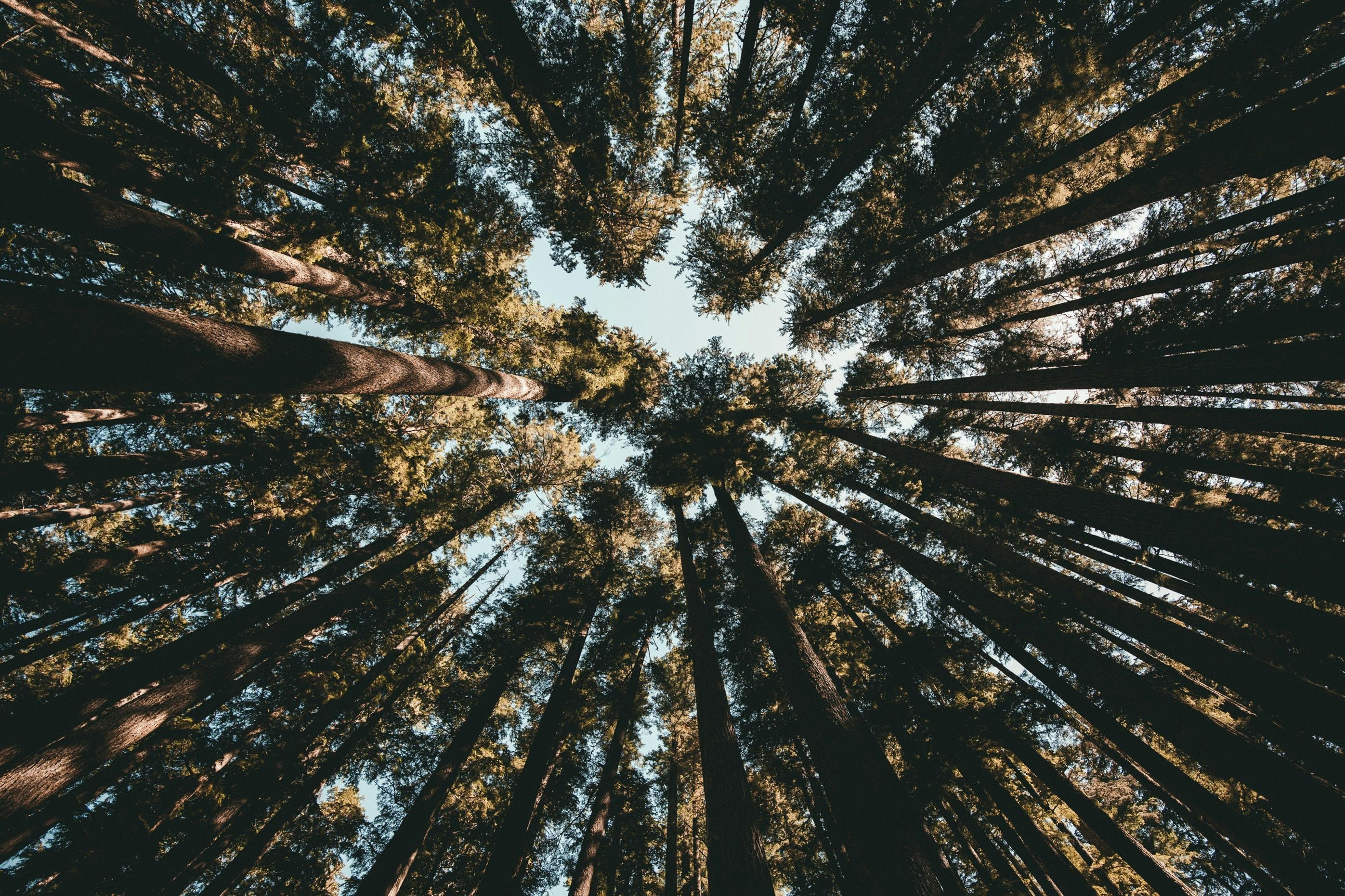 66fdc2ede63fdc0498458fd4 Kyleloftus763772unsplash