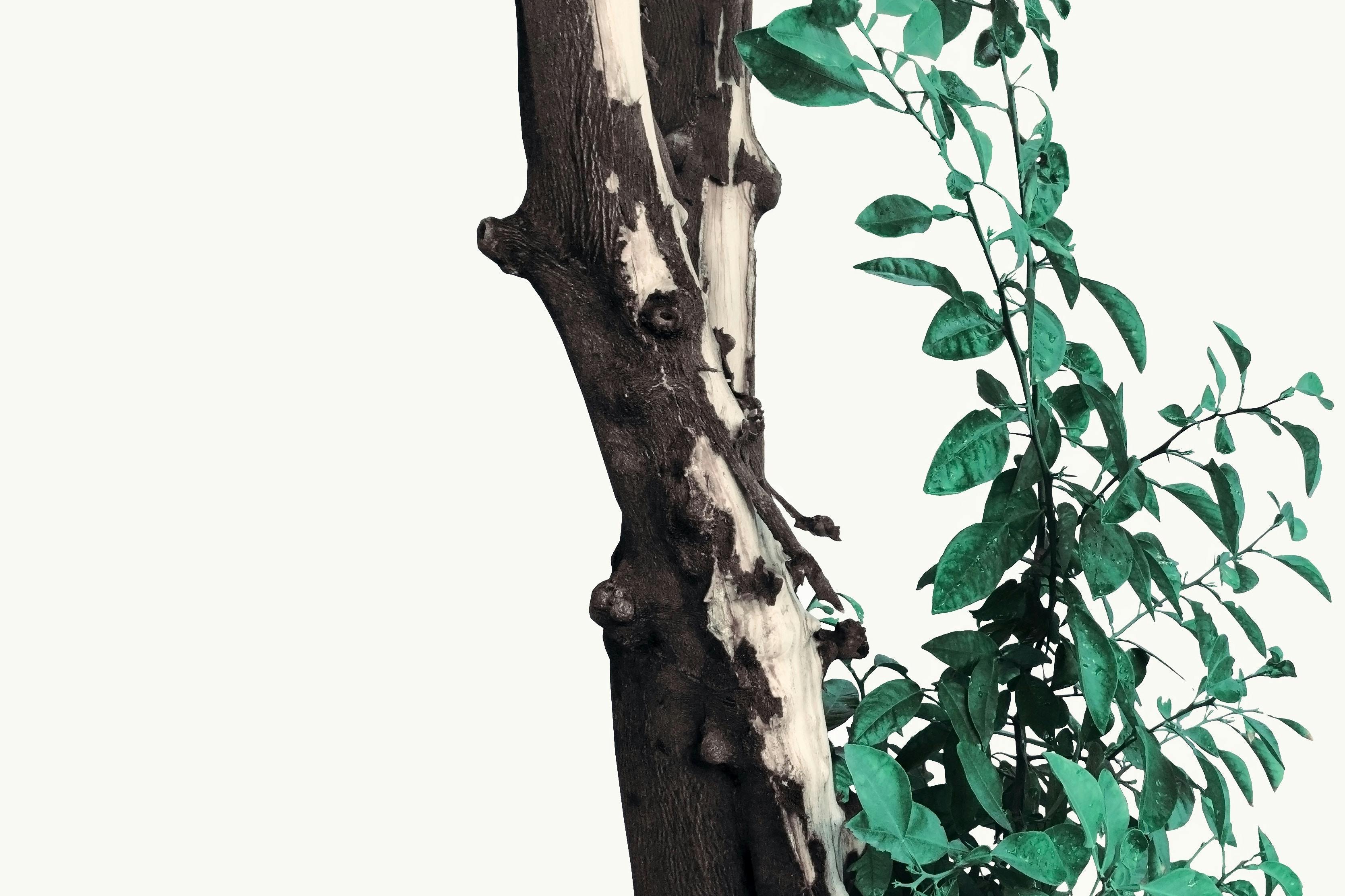 66fdc30edbd68eb5274ab09a Masoudmirzamani803031unsplash