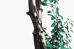 66fdc30edbd68eb5274ab09a Masoudmirzamani803031unsplash 66fdc30edbd68eb5274ab09a Masoudmirzamani803031unsplash