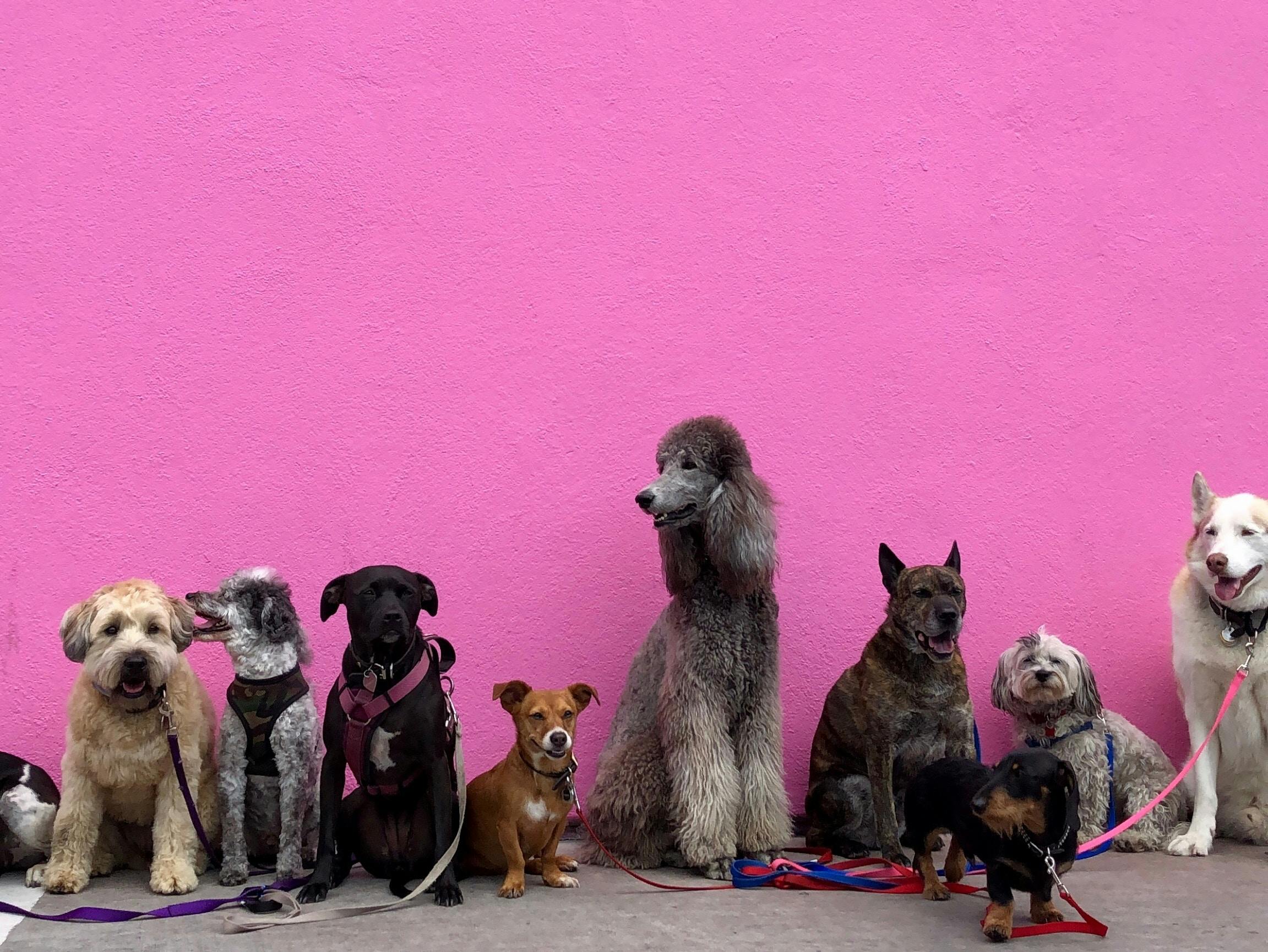 66fdc30edbd68eee544ab09b Hannahlim708852unsplash