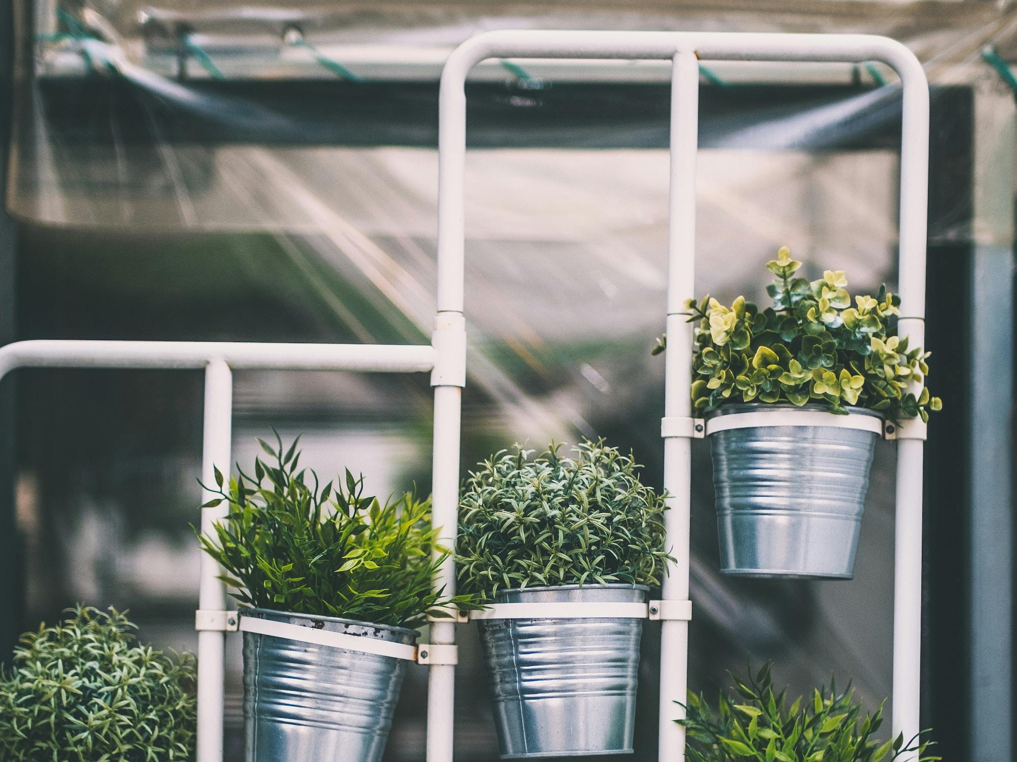 66fdc315d4ea385c89a5a2b5 Bundokim975032unsplash