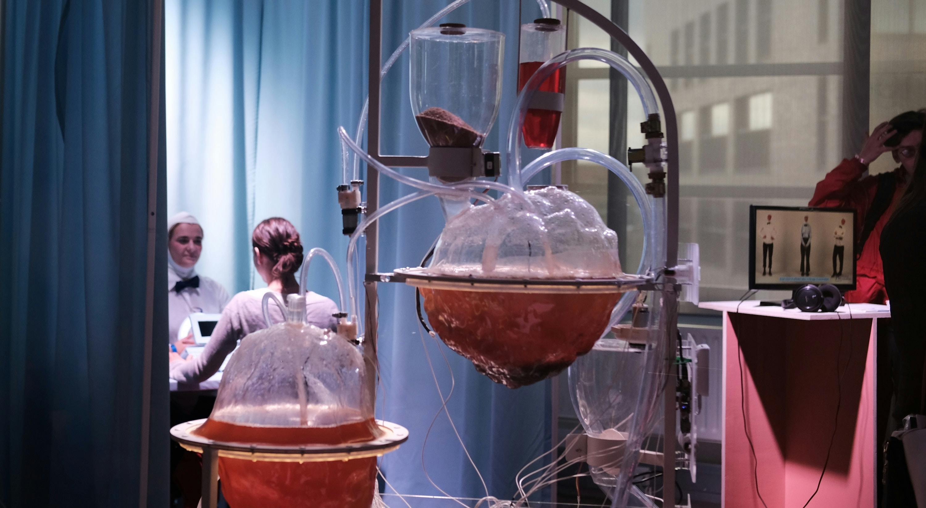 66fdc31f3cabd93b9ea6a418 Christianfregnan426703unsplash