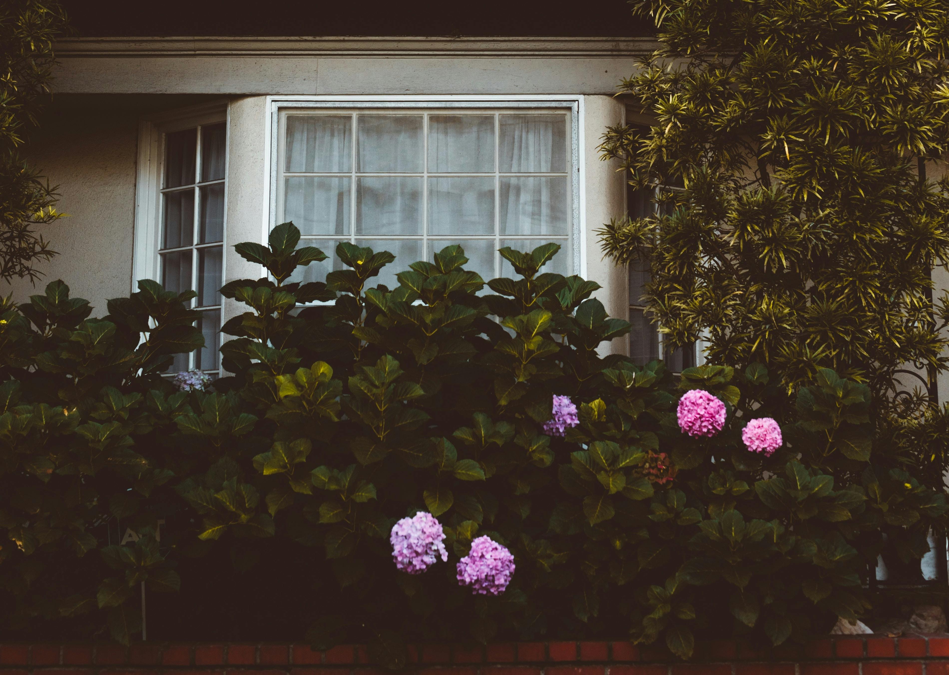 66fdc36401d3bff392af827b Nathandumlao1085990unsplash