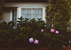 66fdc36401d3bff392af827b Nathandumlao1085990unsplash 66fdc36401d3bff392af827b Nathandumlao1085990unsplash