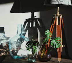 66fdc369a5dba0eb0c462e59 Timgoedhart650868unsplash 66fdc369a5dba0eb0c462e59 Timgoedhart650868unsplash