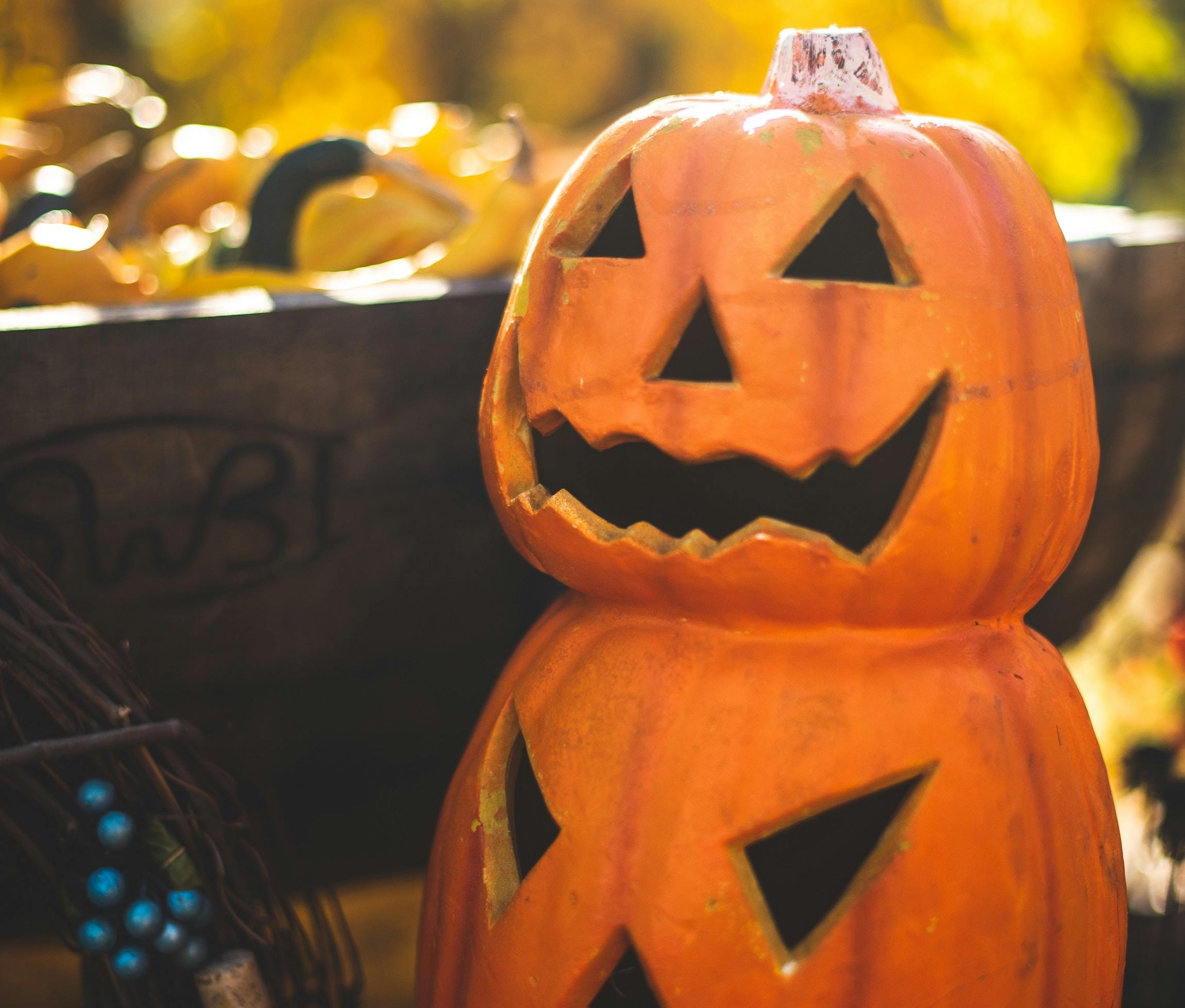 66fdc391de5fd1552554954e Jasminecoro1126601unsplash