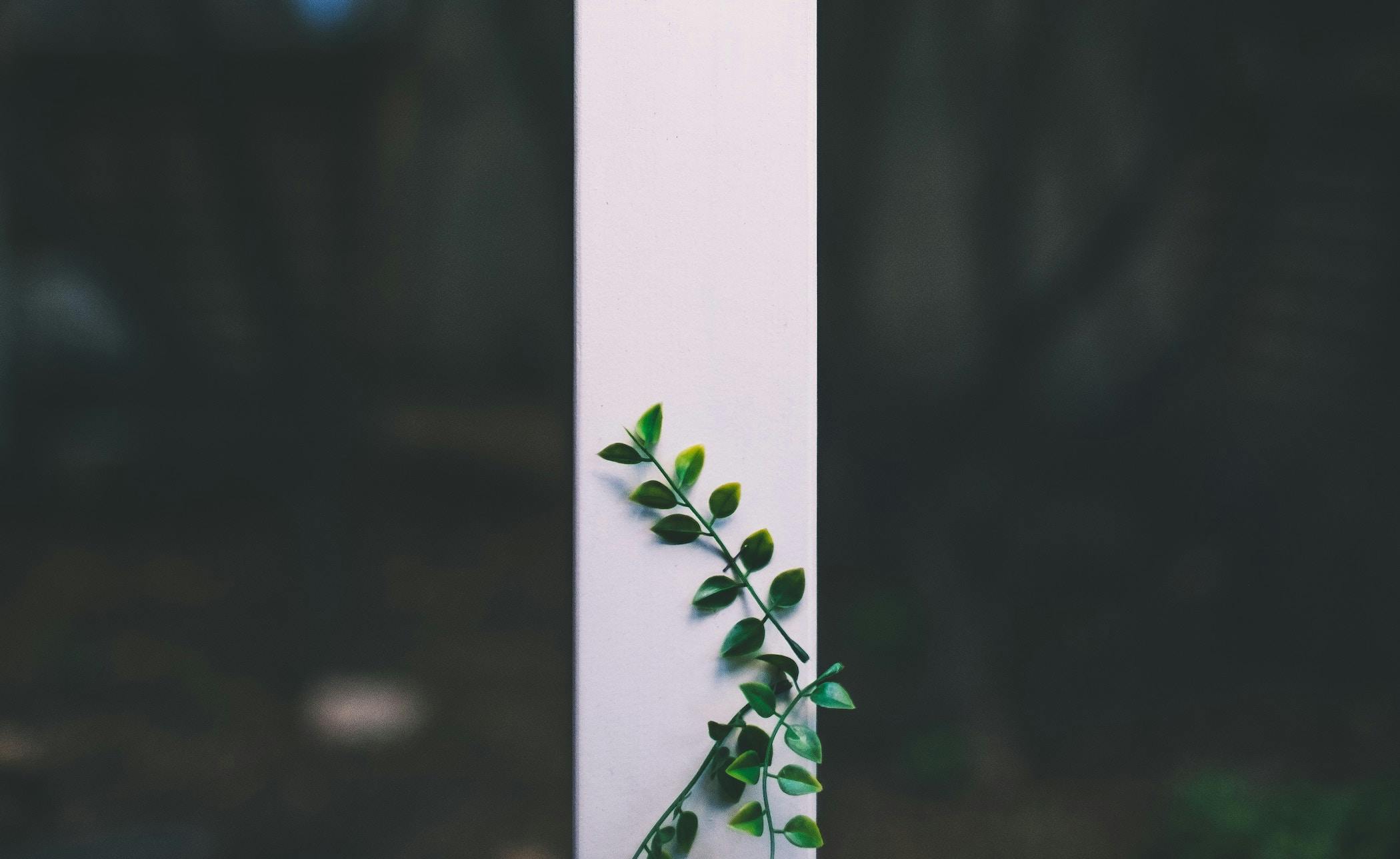 66fdc3a1e1fd4a6f6de1f9cd Bundokim973355unsplash