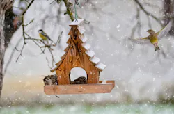 66fdc4093cabd915eda6a54a Marcosecchi1278531unsplash 66fdc4093cabd915eda6a54a Marcosecchi1278531unsplash