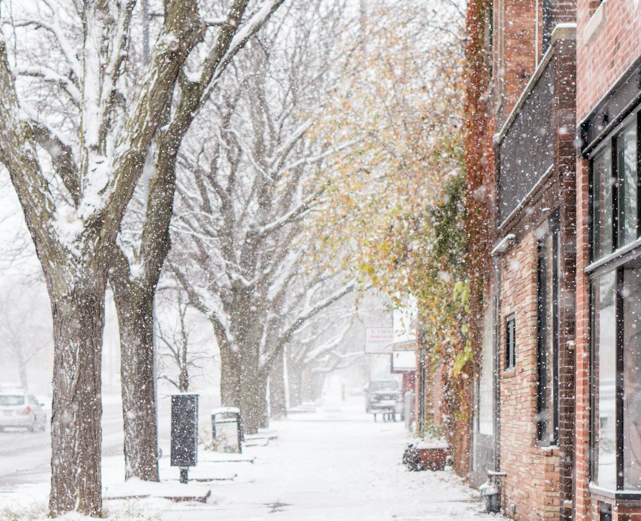 66fdc40fd4ea381425a5a3a0 Timumphreys1268116unsplash