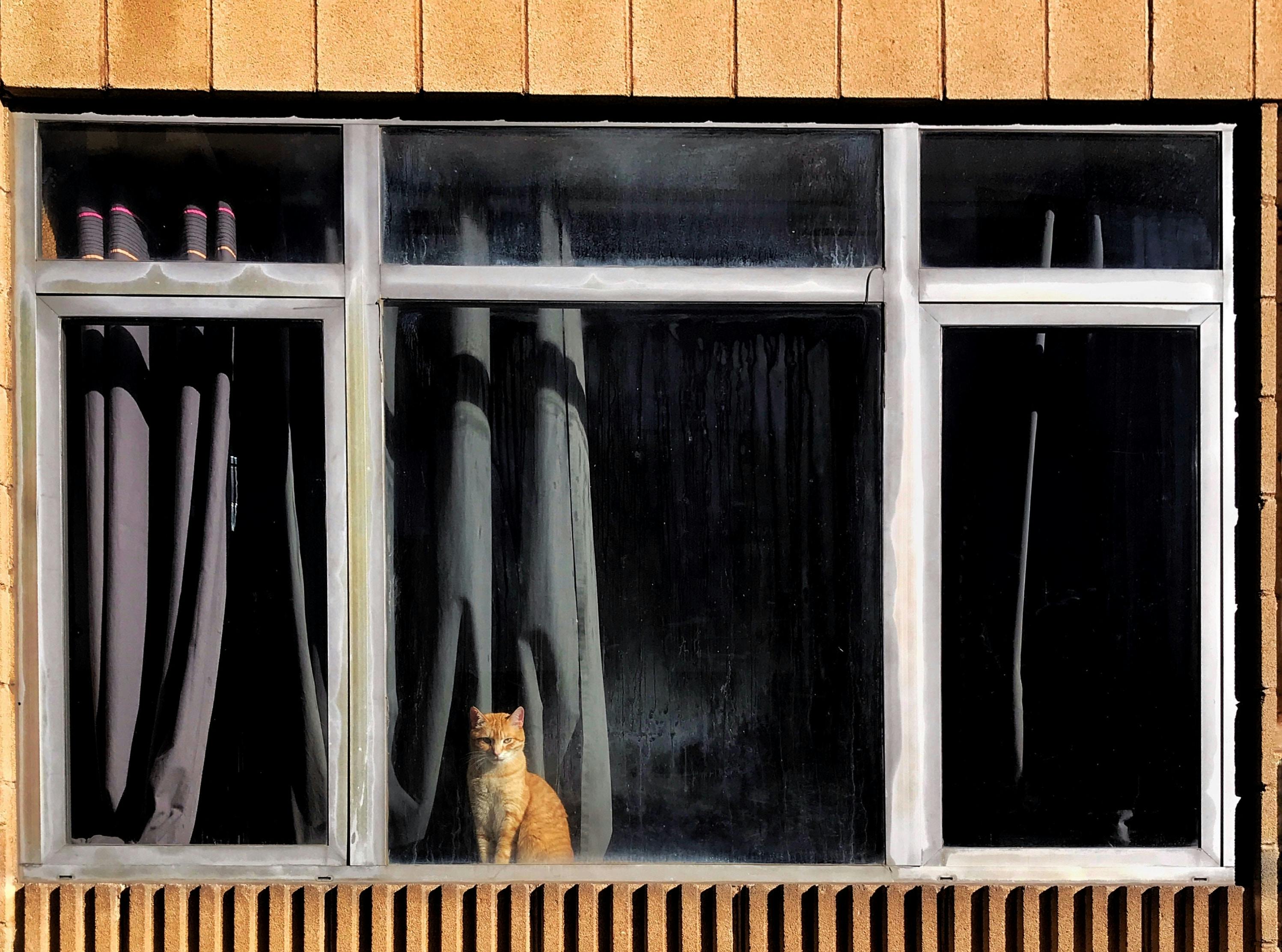 66fdc40fd4ea385b8fa5a39f Victorzamora1285271unsplash